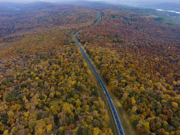 Widok z lotu ptaka na gęsty las jesienią z drogą