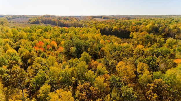 Widok z lotu ptaka na kolorowy jesienny las