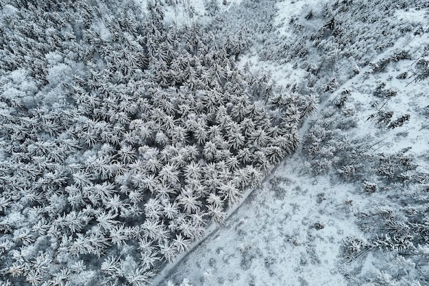 Widok z lotu ptaka na las pokryty wirt śniegiem