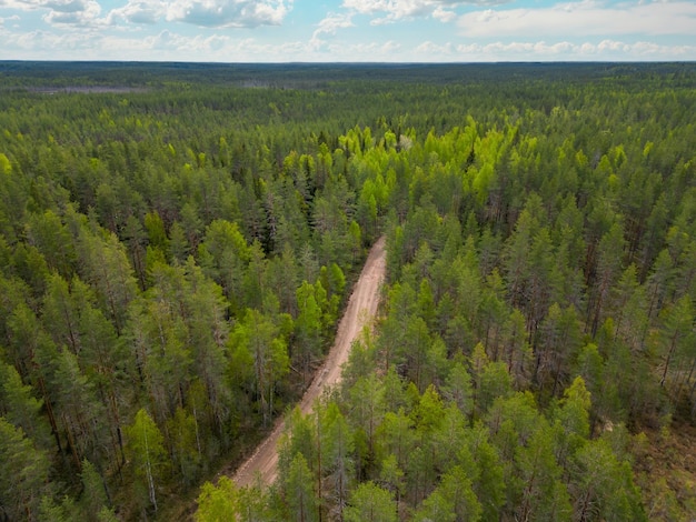 Widok z lotu ptaka na las z drogą Republiki Karelii