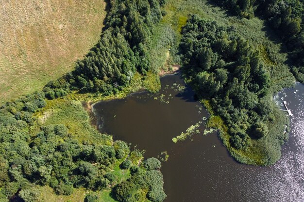 Widok z lotu ptaka na letni krajobraz z rzeką i zielonym lasem