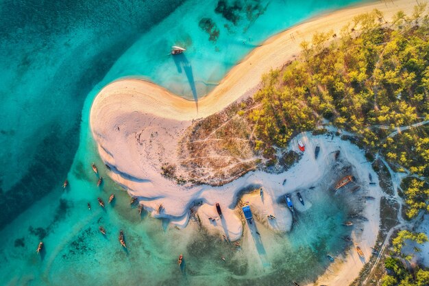 Zdjęcie widok z lotu ptaka na łodzie rybackie na tropikalnym wybrzeżu morskim z piaszczystą plażą i palmami o zachodzie słońca wioska rybacka na oceanie indyjskim zanzibar afryka krajobraz z drzewami łodzi czysta, błękitna woda widok z góry