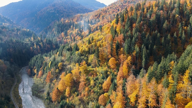 Widok z lotu ptaka na naturę w Rumunii Karpaty wzgórza pokryte bujnym zażółceniem