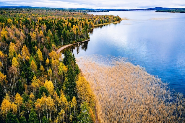 Widok z lotu ptaka na niebieskie jezioro z odbiciem jesiennego lasu z jesiennymi kolorowymi drzewami w Finlandii