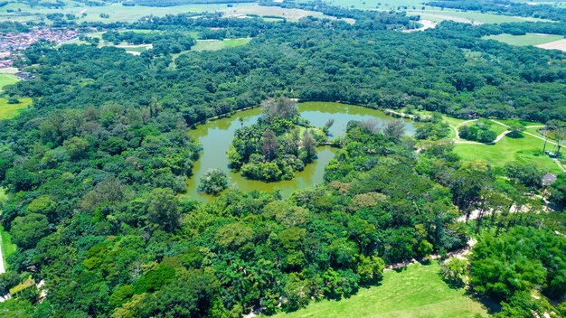 Widok z lotu ptaka na park Burle Marx Parque da Cidade w Sao Jose dos Campos Brazylia Wysokie i piękne palmy