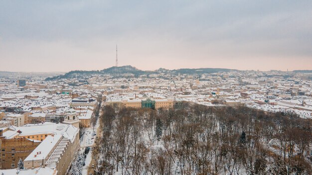 Widok z lotu ptaka na park we Lwowie w centrum w zimowy dzień kopia przestrzeń