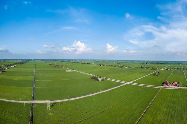 Widok z lotu ptaka na piękne zielone pole ryżowe w Sekinchan Selangor