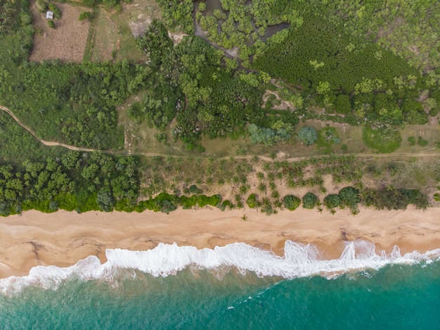 Widok z lotu ptaka na plażę tangalle sri lanka z góry