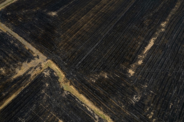 Widok z lotu ptaka na pola ryżowe z latającego drona pola ryżowego Pożary lasów