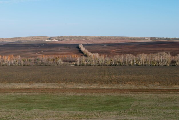 Widok z lotu ptaka na pola uprawne i lasy Region Orenburg Rosja