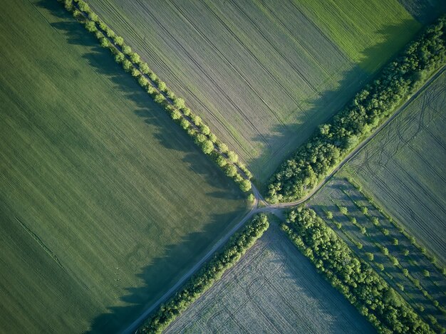 Widok z lotu ptaka na pola uprawne