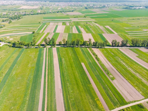 Widok z lotu ptaka na pola uprawne