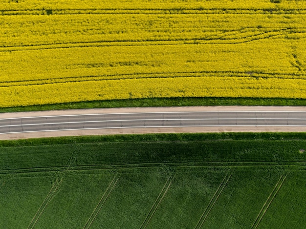 Widok Z Lotu Ptaka Na Pole Rzepaku W Okresie Kwitnienia I Drogę Między Polami