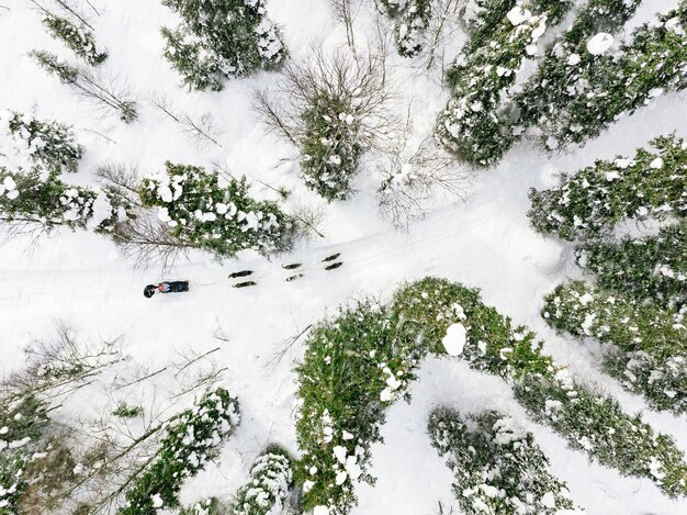 Widok z lotu ptaka na sanki z psami husky w Laponii w Finlandii Zdjęcia z drona z góry