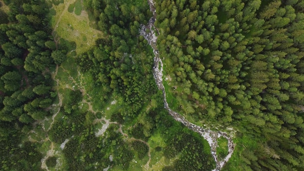 Widok z lotu ptaka na strumień w górach Pirin z czystą wodą Bansko Bulgaria