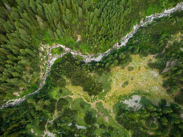 Widok z lotu ptaka na strumień w górach Pirin z czystą wodą Bansko Bulgaria