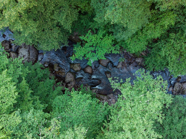 Widok z lotu ptaka na strumień w lesie w Rodopach w pobliżu miasta Devin