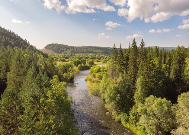 Widok z lotu ptaka na strumienie, drzewa iglaste i wzgórza