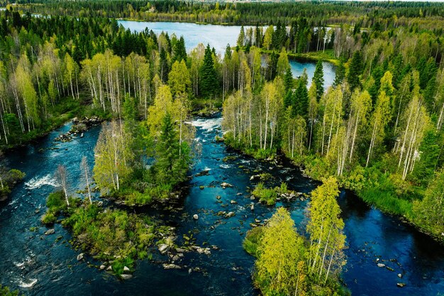 Widok z lotu ptaka na szybką niebieską rzekę w pięknym zielonym wiosennym lesie w Finlandii