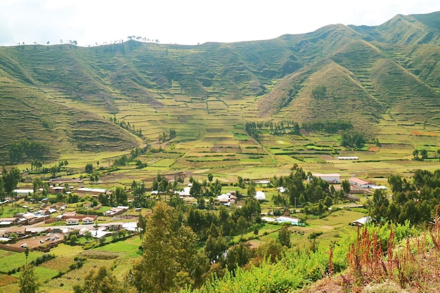 Widok z lotu ptaka na tarasy rolnicze w kanionie Colca w regionie Arequipa Peru Ameryka Południowa