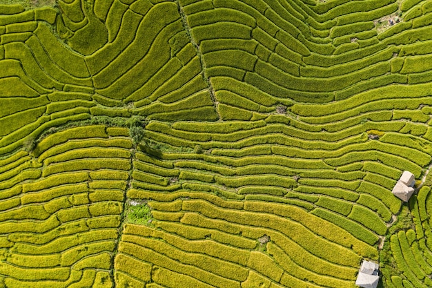 Zdjęcie widok z lotu ptaka na tarasy uprawiane na wzgórzach