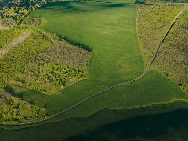 Widok z lotu ptaka na wiejski krajobraz z zielonymi polami i lasami o wschodzie słońca