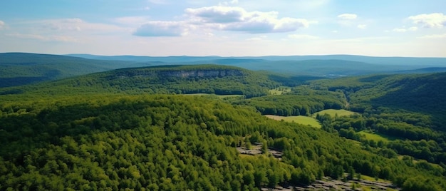 widok z lotu ptaka na zalesiony obszar w górach