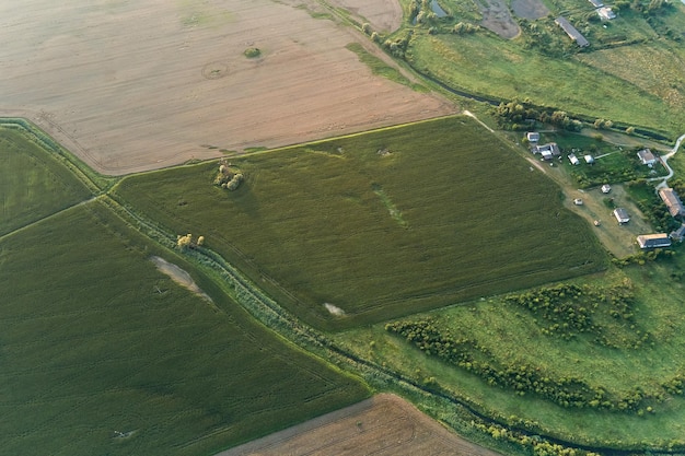 Widok z lotu ptaka na zielone i żółte pola uprawne z uprawami w jasny letni dzień