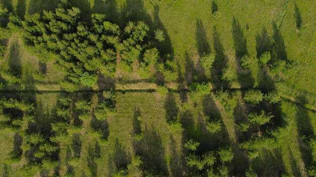Widok z lotu ptaka na zielone pola i drzewa