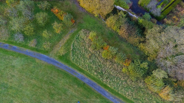 Widok z lotu ptaka na zielone pola i łąki Wspaniałe zdjęcia lotnicze nad bujnymi zielonymi polami i łąkami