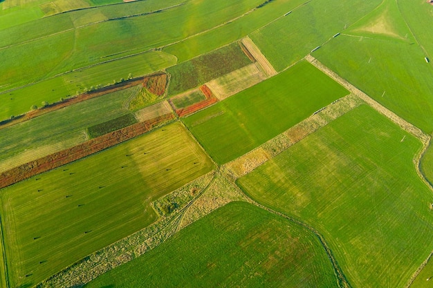 Widok z lotu ptaka na zielone pola uprawne wieś tło natura krajobraz