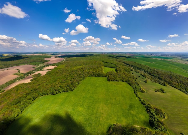 Widok z lotu ptaka na zielone pola uprawne z uprawami w jasny letni dzień.