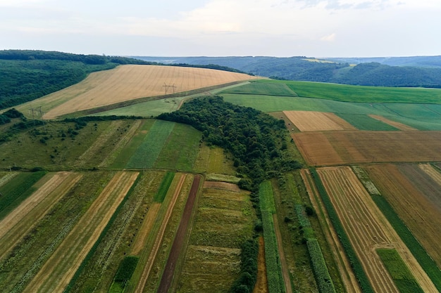 Widok z lotu ptaka na zielone pola uprawne z uprawami w jasny letni dzień