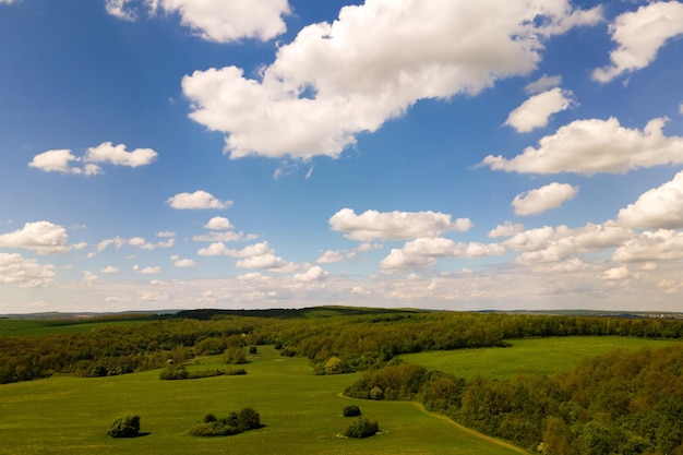 Widok Z Lotu Ptaka Na Zielone Pola Uprawne Z Uprawami W Jasny Letni Dzień.