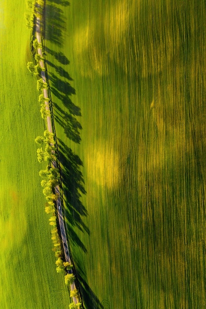 Widok Z Lotu Ptaka Na Zielone Pole I Drogę W Europie.natura Białorusi. Własne Zielone Pole O Zachodzie Słońca I Drogi.