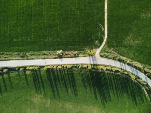 Widok z lotu ptaka na zielone pole pszenicy na wsi pole pszenicy wiejącej na wietrze o zachodzie słońca młodym