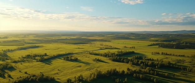 widok z lotu ptaka na zielone pole z drzewami