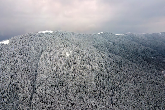 Widok z lotu ptaka na zimowy krajobraz z górskimi wzgórzami porośniętymi wiecznie zielonym lasem sosnowym po obfitych opadach śniegu na zimny spokojny wieczór.