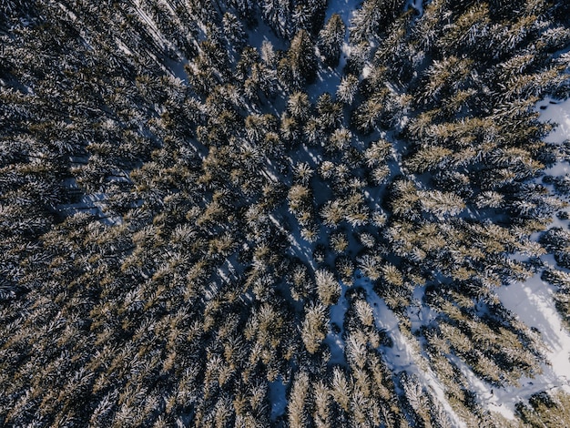 Widok z lotu ptaka na zimowy las pokryty śnieżnym dronem