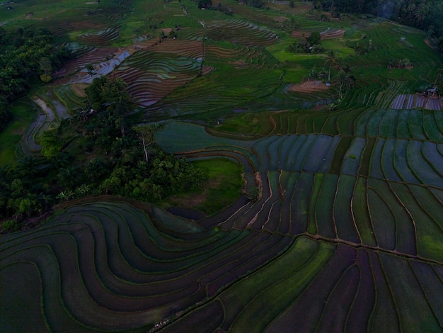 Zdjęcie widok z lotu ptaka piękny poranny widok z indonezji na temat gór i lasów
