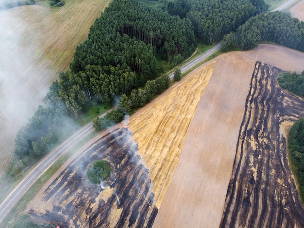 Widok z lotu ptaka płonącego pola pszenicy z dymem i drogą
