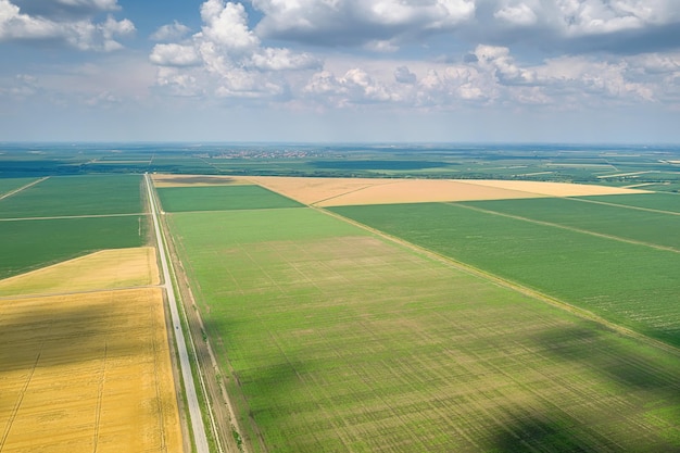 Widok z lotu ptaka pól uprawnych Wieś Krajobraz rolniczy Widok z lotu ptaka