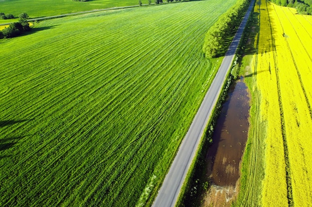 Widok z lotu ptaka pola rzepaku z żółtymi kwiatami i drogą