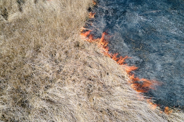 Widok Z Lotu Ptaka Pola Użytków Zielonych Płonących Z Czerwonym Ogniem W Porze Suchej. Koncepcja Klęski żywiołowej I Zmiany Klimatu.