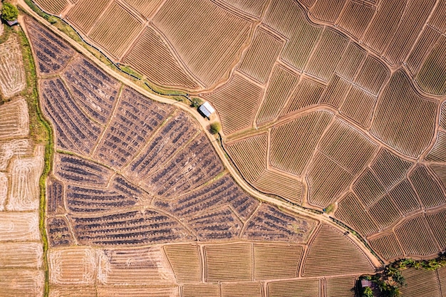 Widok z lotu ptaka rolniczej gleby rowkowej pola spotowego przygotowującego do uprawy na gruntach rolnych na wsi