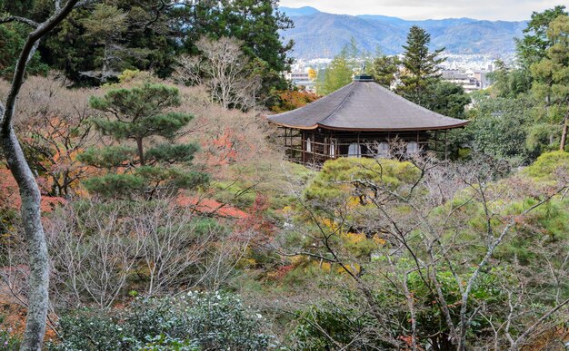 Widok z lotu ptaka świątyni Ginkakuji w jesiennych kolorach w Kioto, Japonia