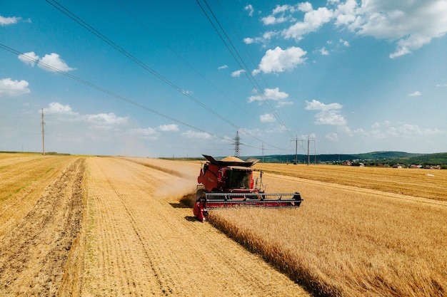 Widok z lotu ptaka widok z przodu kombajnu zbierającego pszenicę emituje chmury kurzu i dymu ...