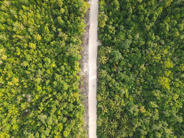 Widok z lotu ptaka z białej drogi w tropikalnym lesie w pobliżu plaży.