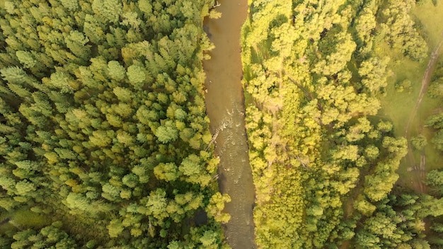 Widok z lotu ptaka z drona górskiej rzeki i lasu. Widok z góry na strumienie i drzewa. Przyroda w słoneczny dzień. Widok z lotu ptaka.