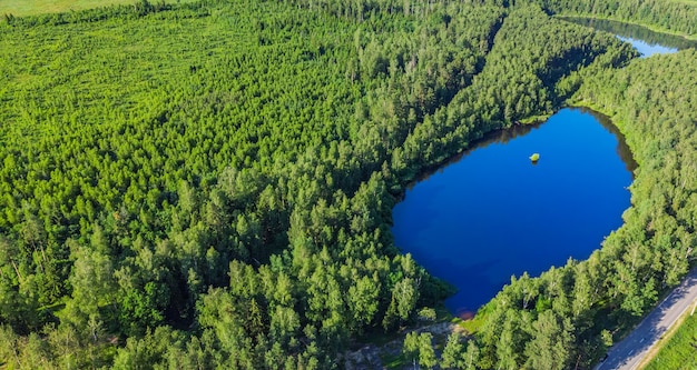 Widok z lotu ptaka z drona jeziora w lesie